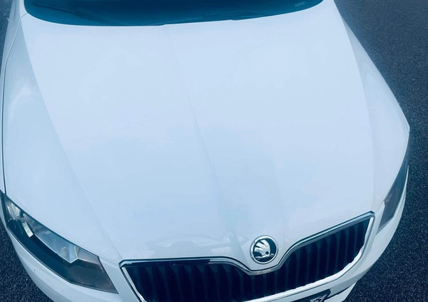 Skoda Octavia cena 27000 przebieg: 340000, rok produkcji 2014 z Rzeszów małe 191